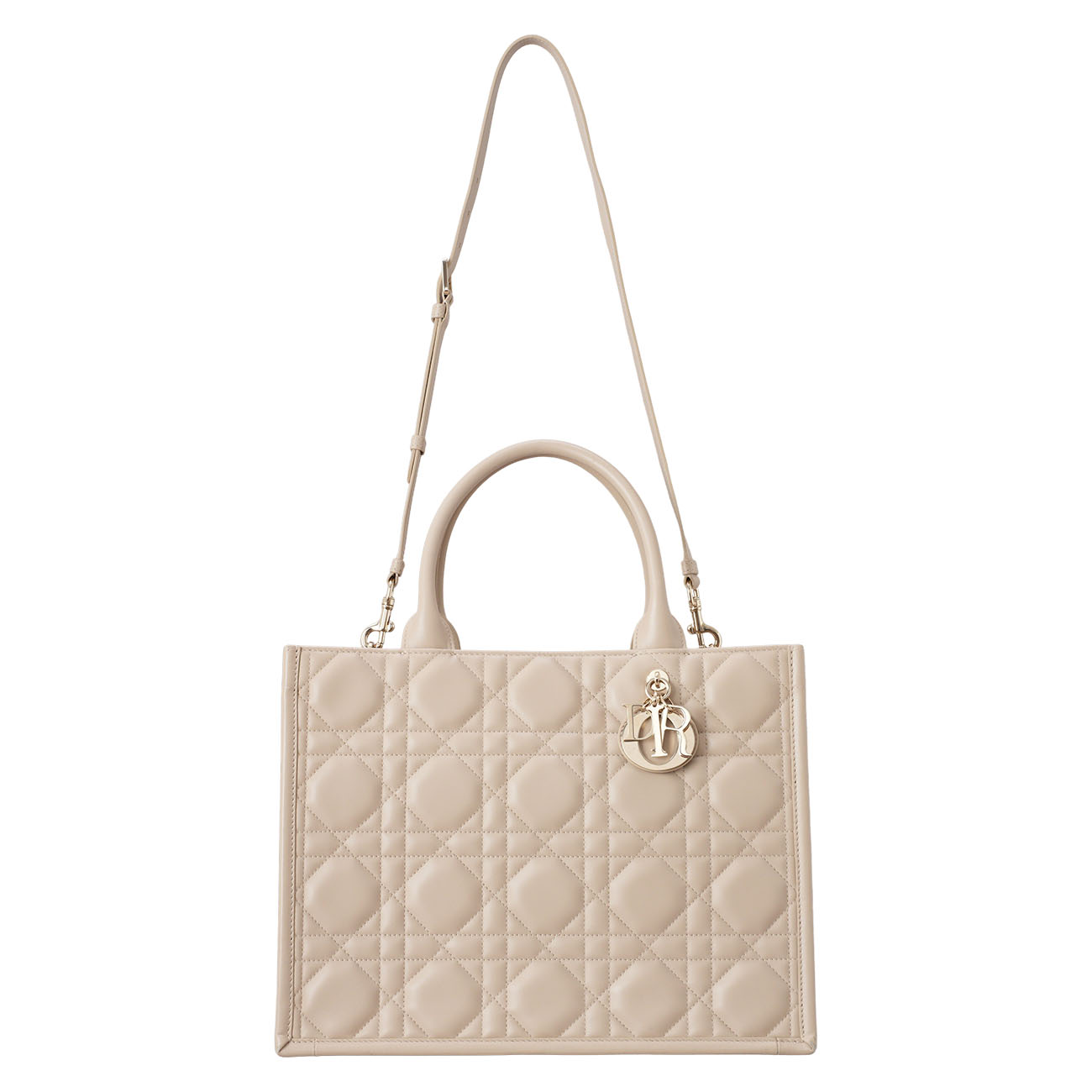 CHRISTIAN DIOR(USED)디올 레더 북토트 미듐